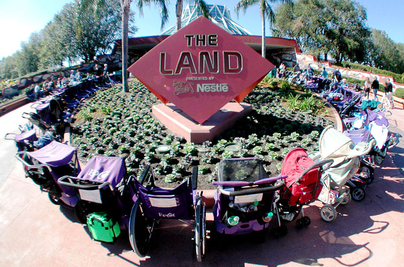 The Old Land