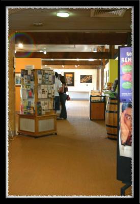 Wine Centre displays