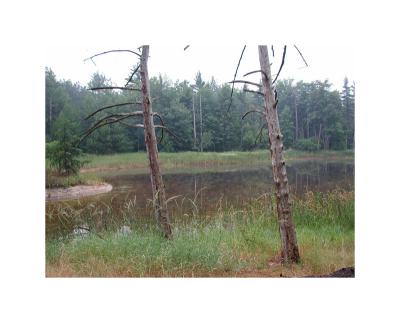 DSCN1787.jpg
