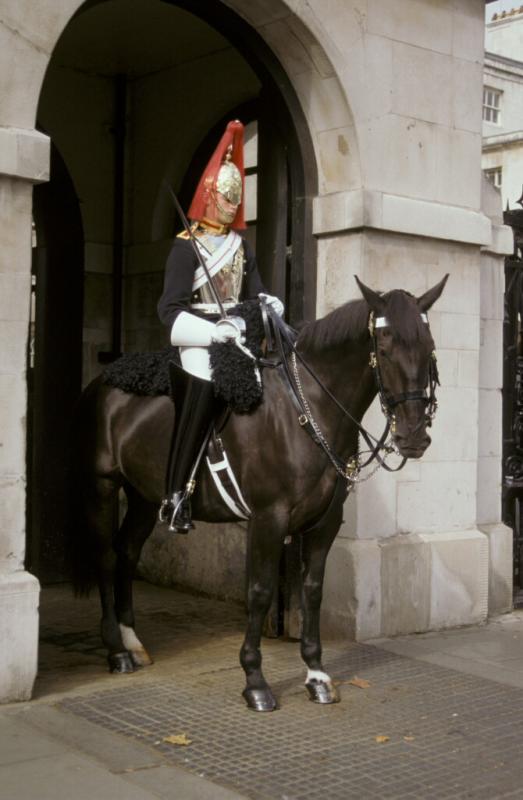 Horse Guard In Whitehall Westminster