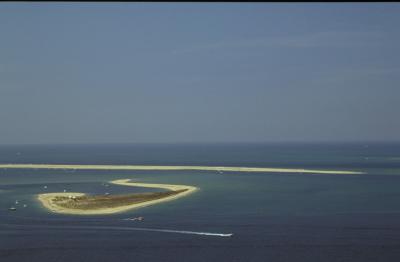 u41/adn/medium/26481765.DunedePilat4.jpg