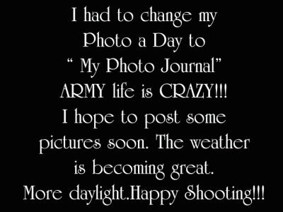 MY PHOTO JOURNAL