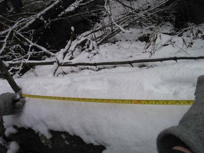 dtpt1_0235.jpg