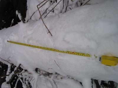 dtpt1_0237.jpg