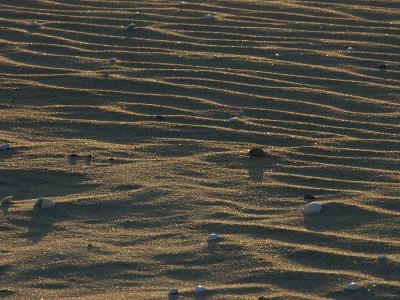 Sand in sunset