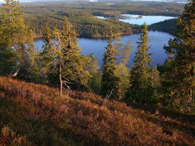 DSCN8113Valtavara-Finland.jpg