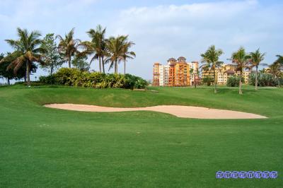 Palm island golf course (China)