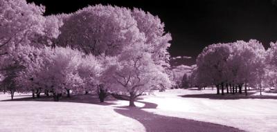 e--IR-path-1-S30-BW-093--P.jpg