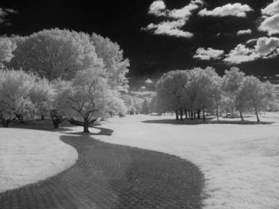 e-IR--Path-2-S30-BW-093-ps.jpg