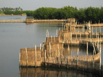 Lagoon in Ouidah, Benin