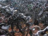 Rotterdam bicycles.