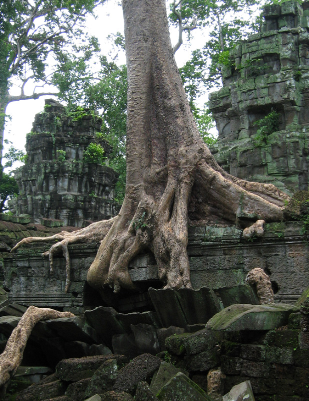 Ta Phrom
