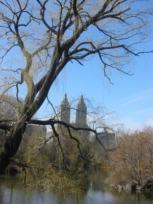 IMG_4599.JPG