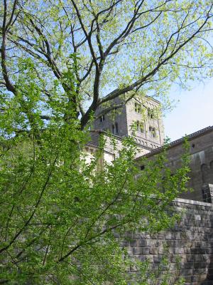 IMG_9105.JPG