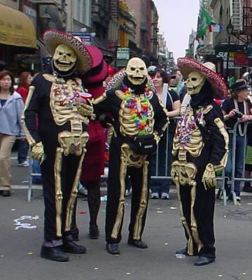 BoneGroupCLSUP.jpg
