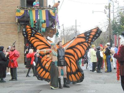 Butterfly.JPG