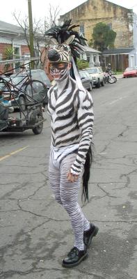 Zebra.JPG