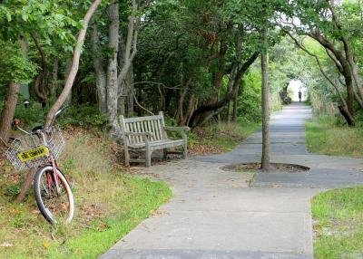 Lover's Lane