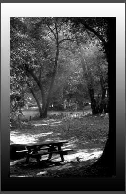 u41/antoinevu/medium/33452065.CRW_2535copy800.jpg