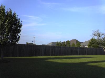 DSC00130.JPG