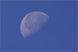 moon.jpg