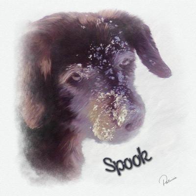 Spook in the Snow