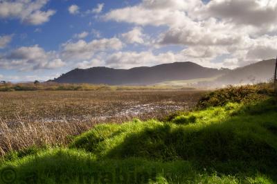 Mouth of Carmel River