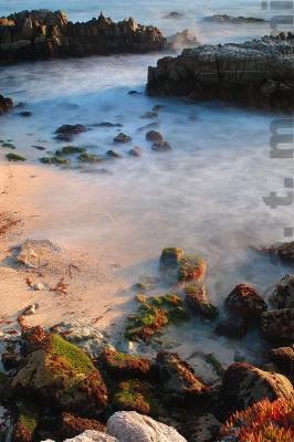 Tidepool at Carmel River State Beach