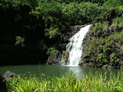 Waterfall at Waimea Valley