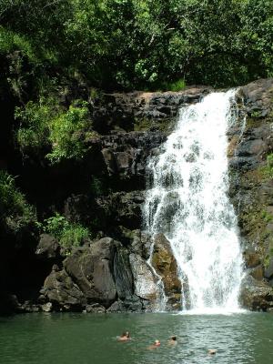 Waihi Falls at Waimea Valley