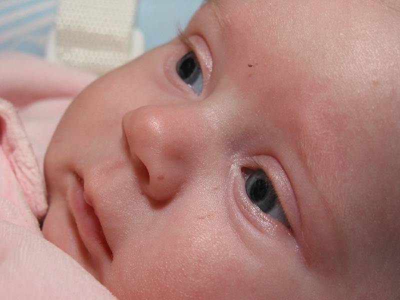 extreeeeme closeup