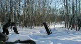 Operation Snowblind Fox (Feb8) / winter Skirmish (nov9) 2004