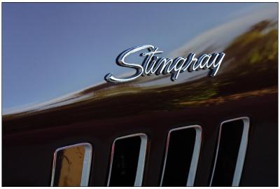 Stingray