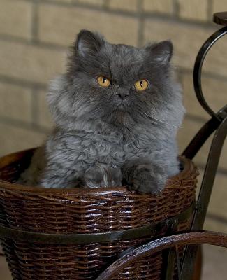 DSC_2683.jpg