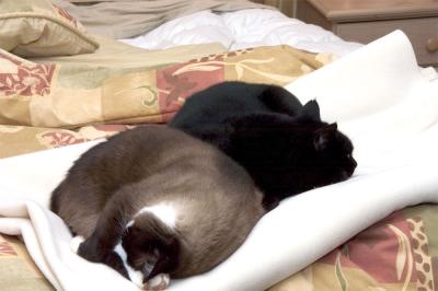 Oh well, we'll take a nap until time for bed.