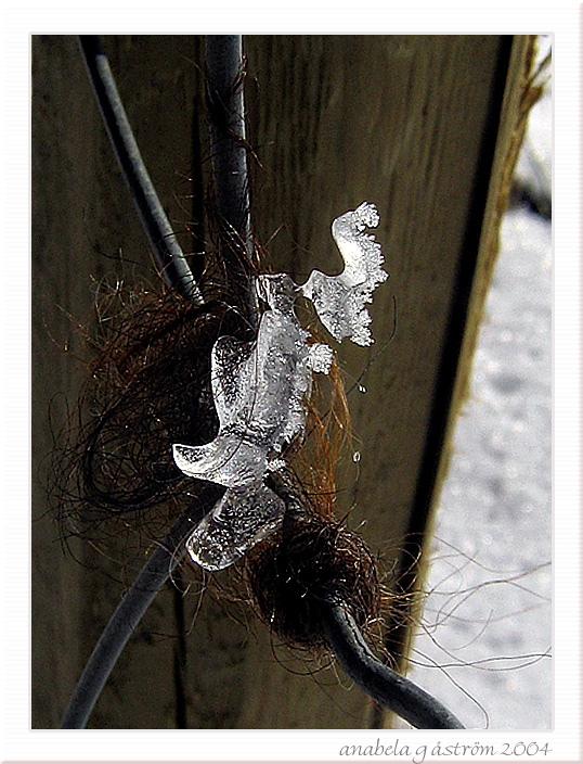 hair, ice, iron and wood