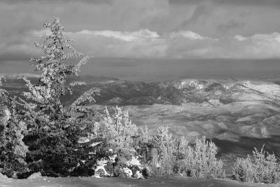 Mt. Rose b&w I