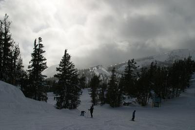 Mt. Rose V