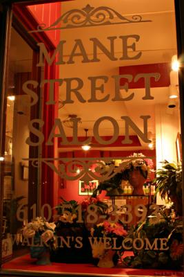 Mane Street Salon