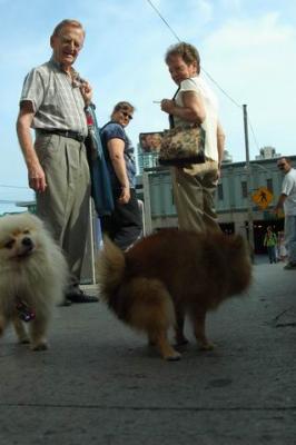 Aug28_04_011.JPG