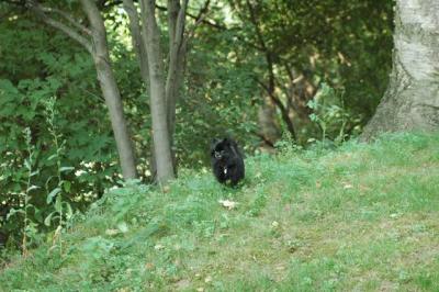 Sept4_04_001.JPG