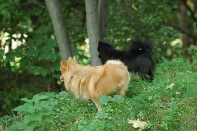Sept4_04_005.JPG