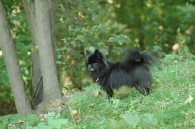 Sept4_04_007.JPG