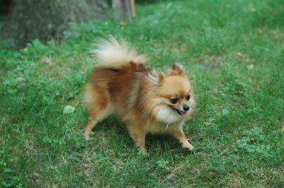 Sept4_04_008.JPG