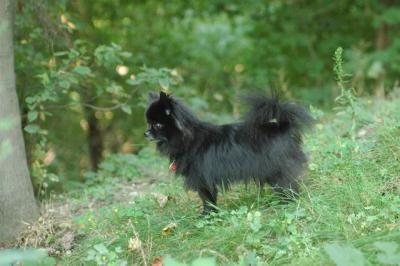 Sept4_04_009.JPG
