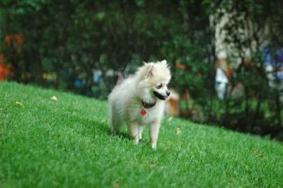 Sept4_04_013.JPG