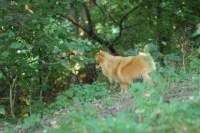 Sept4_04_015.JPG