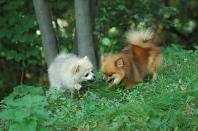 Sept4_04_026.JPG