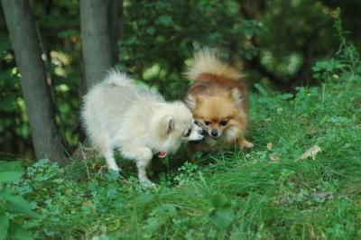 Sept4_04_027.JPG