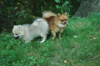 Sept4_04_036.JPG